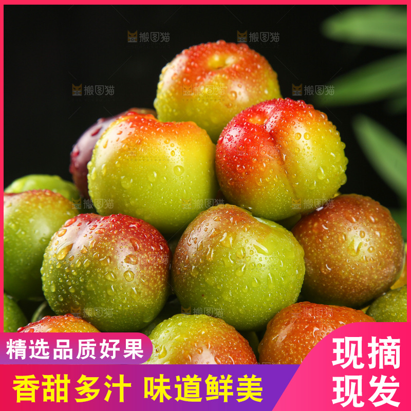 深底上的半边红脱骨李