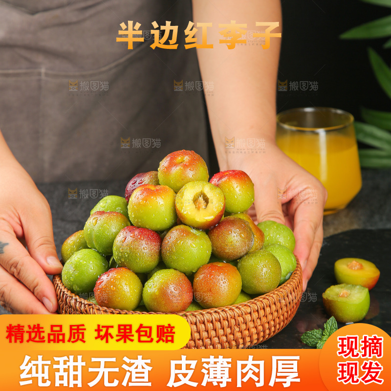 深底上的半边红脱骨李