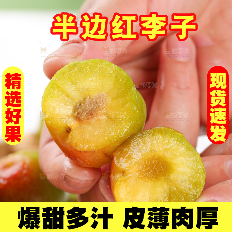 浅底上的茵红李