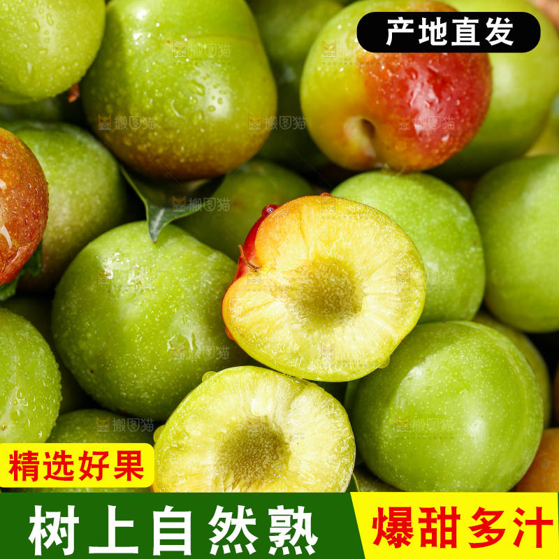 木底上的茵红脱骨李