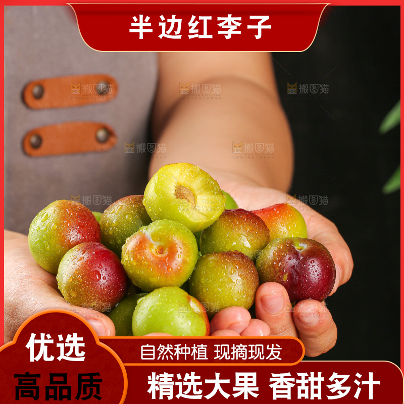 深底上的半边红脱骨李