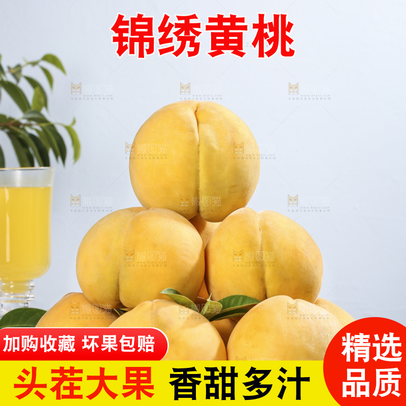 浅底上的奉贤黄桃