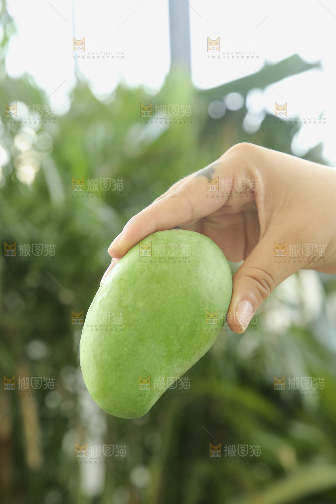 手里拿着象牙芒