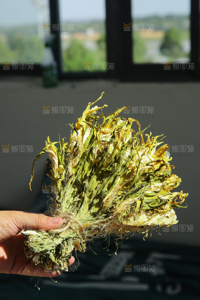 木底上的霸王花