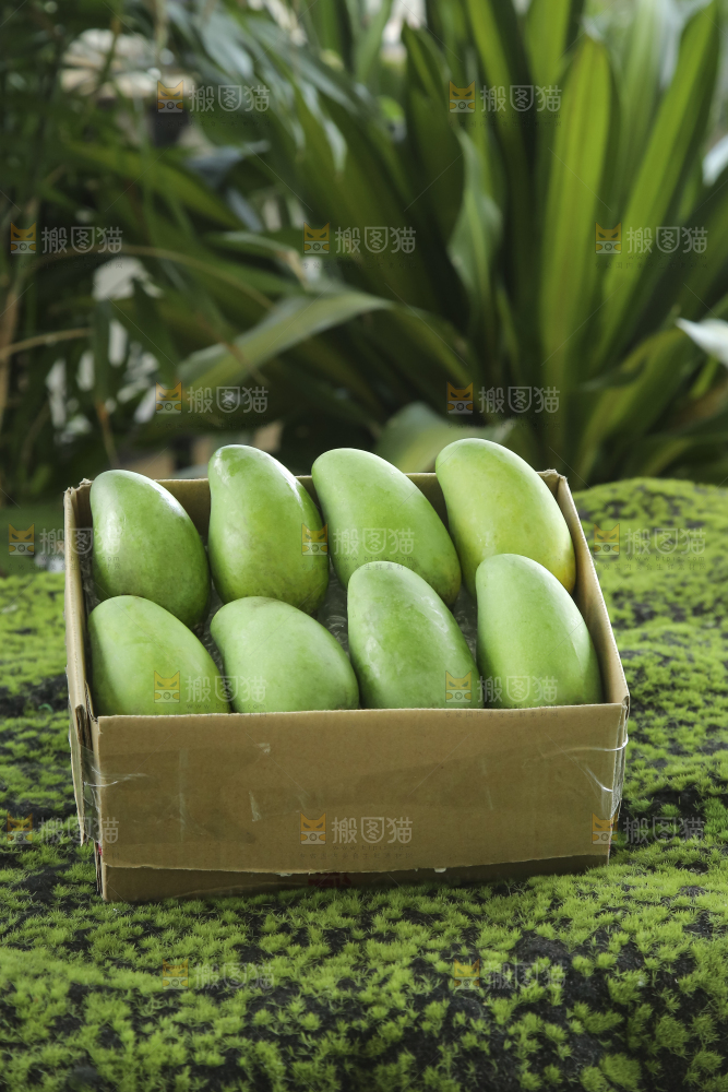 木底上的象牙芒
