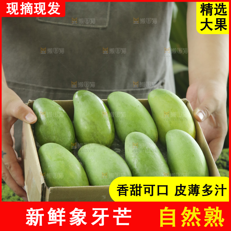 手里拿着象牙芒