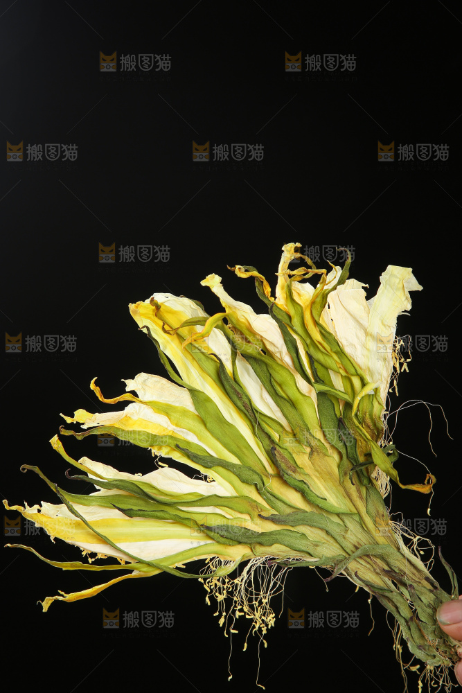 木底上的霸王花
