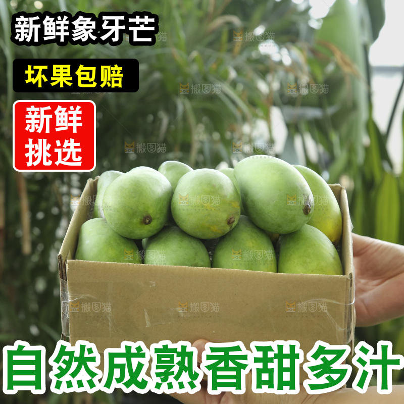 手里拿着象牙芒