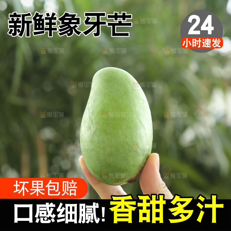 手里拿着象牙芒