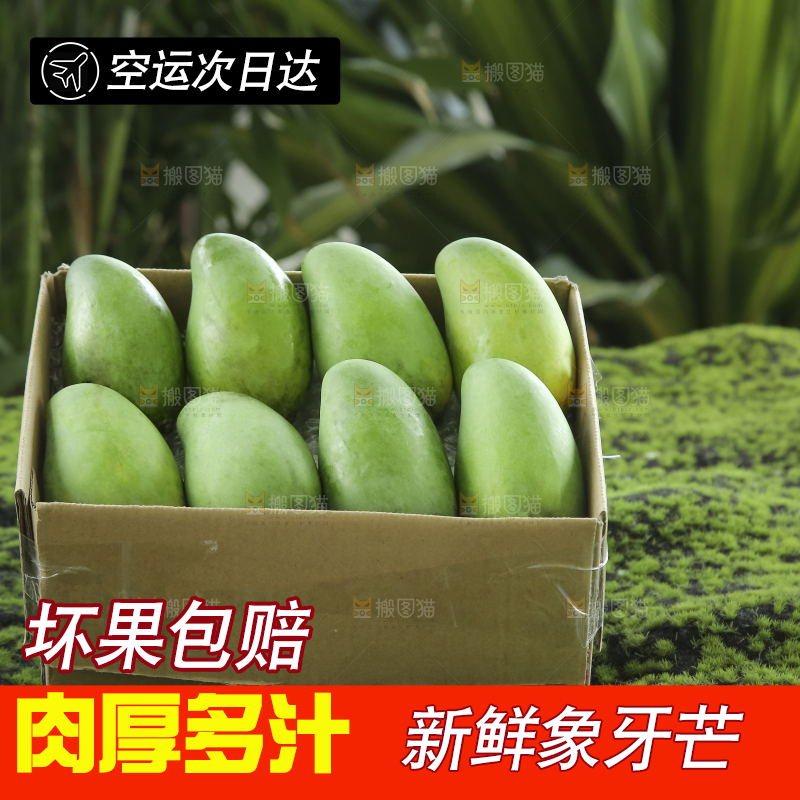 木底上的象牙芒