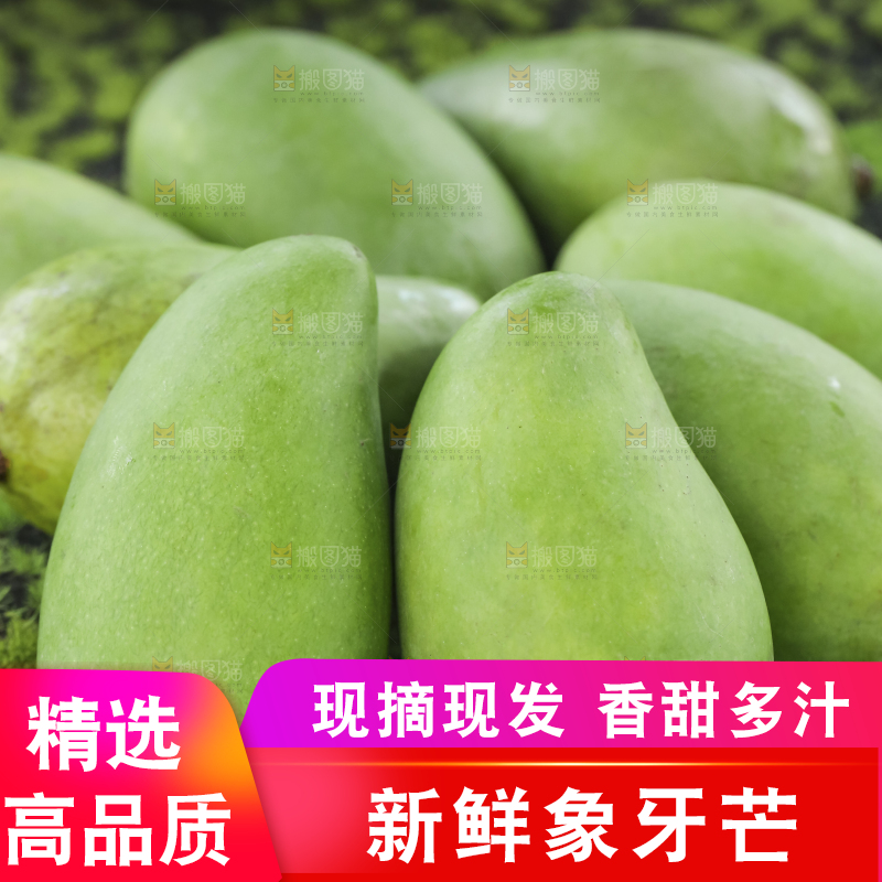 木底上的象牙芒