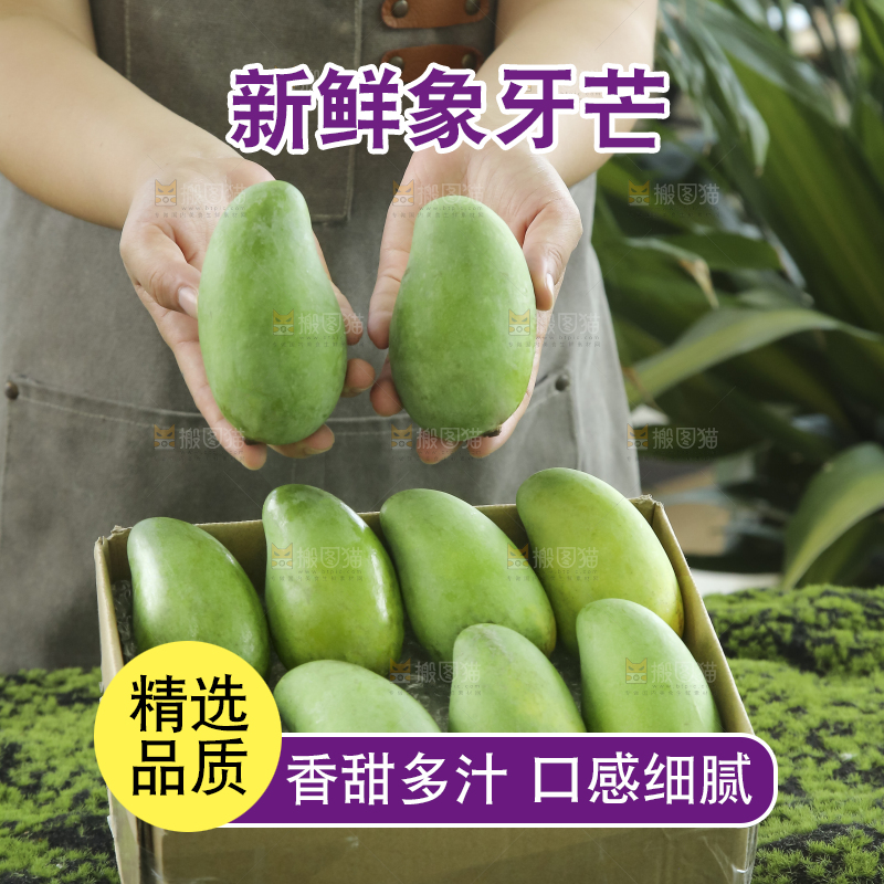 手里拿着象牙芒