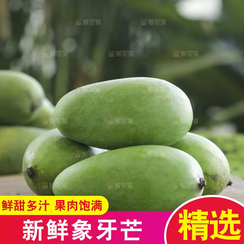 木底上的象牙芒