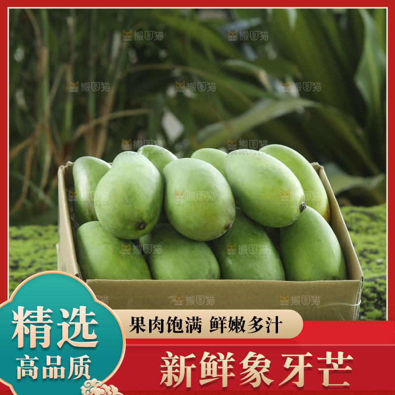 木底上的象牙芒