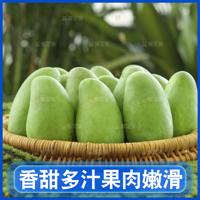 手里拿着象牙芒