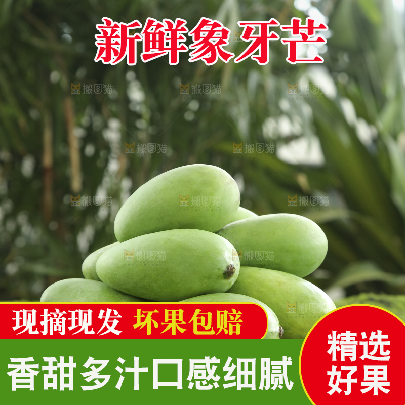 木底上的象牙芒