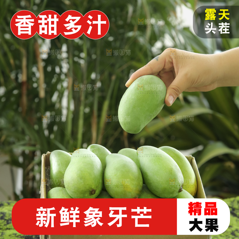 手里拿着象牙芒
