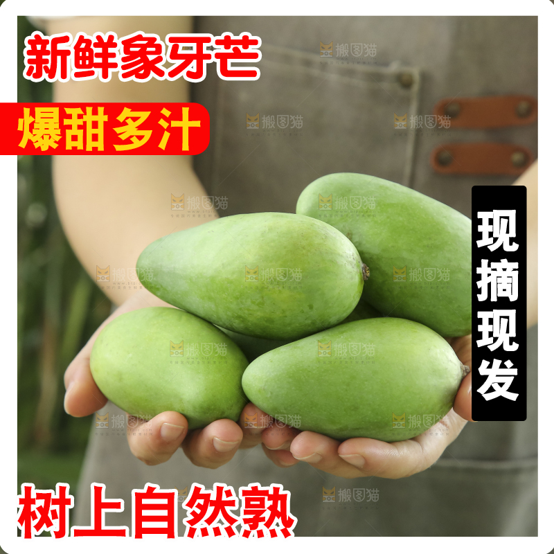 手里拿着象牙芒