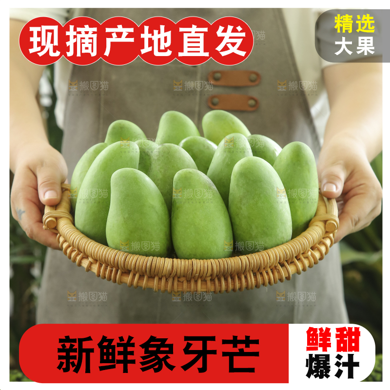手里拿着象牙芒
