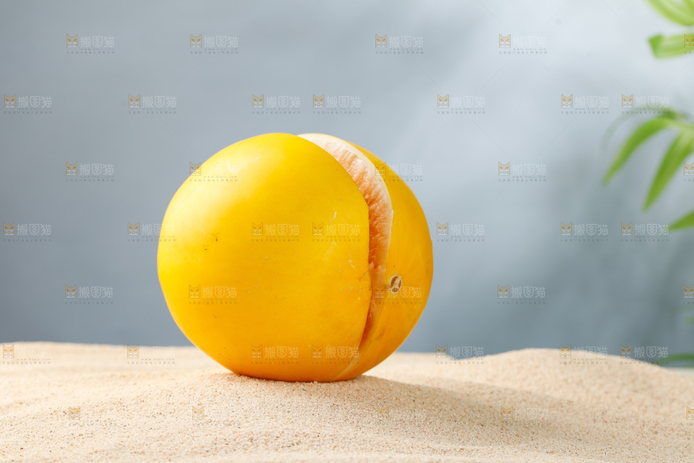 浅底上的民勤蜜瓜