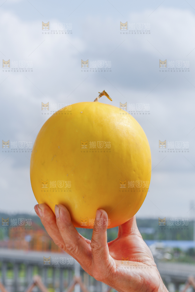 手里拿着民勤蜜瓜