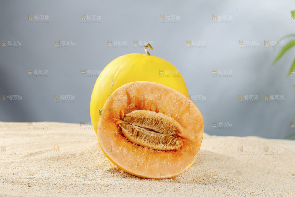 浅底上的民勤蜜瓜