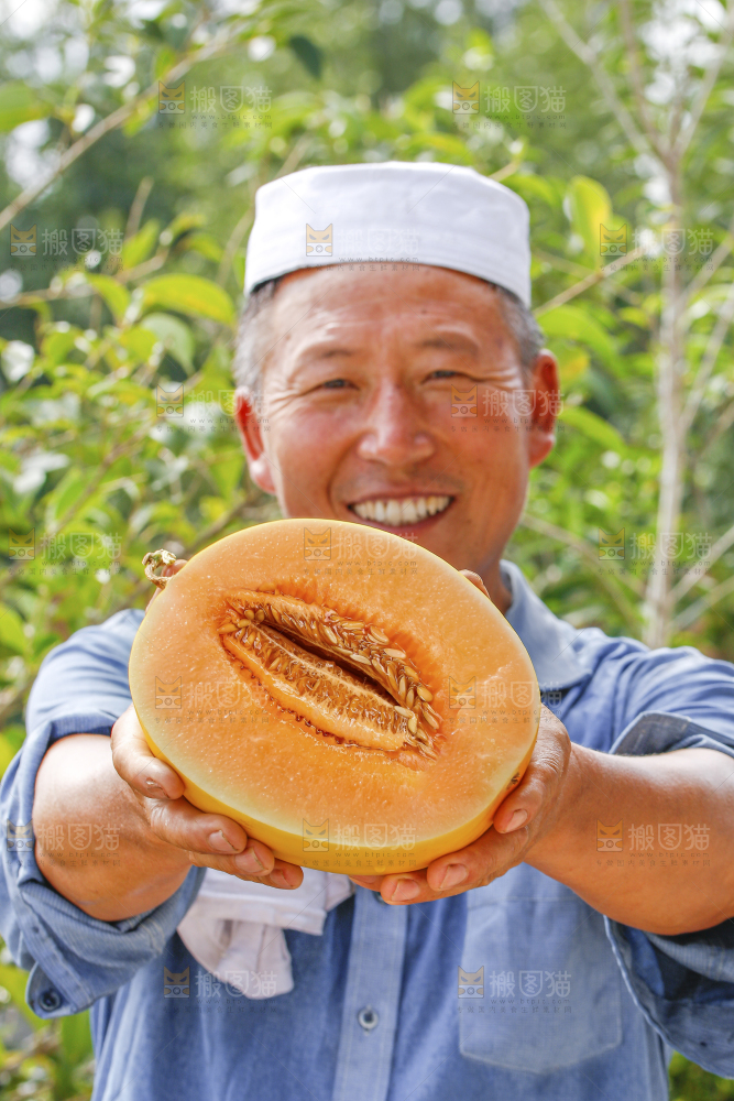手里拿着民勤蜜瓜