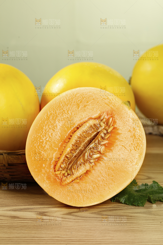 浅底上的黄河蜜瓜
