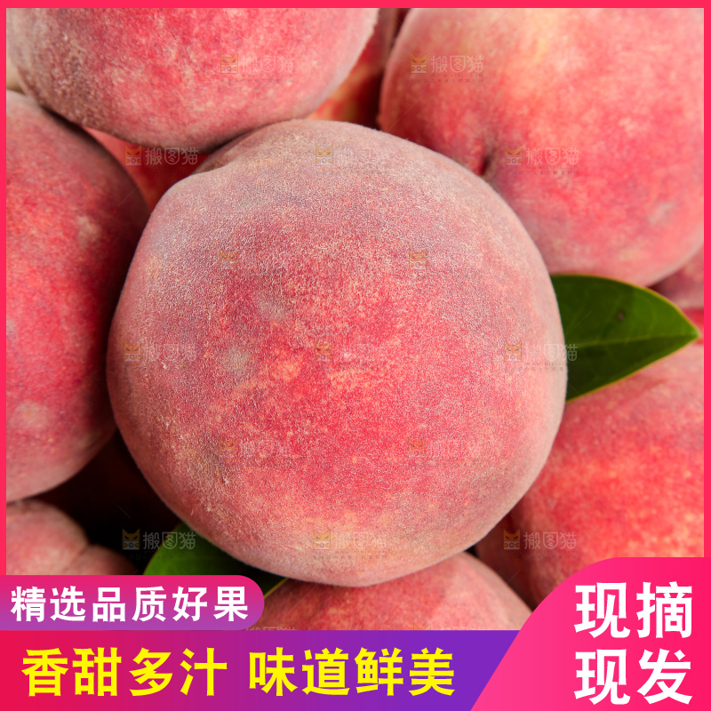 木底上的血桃