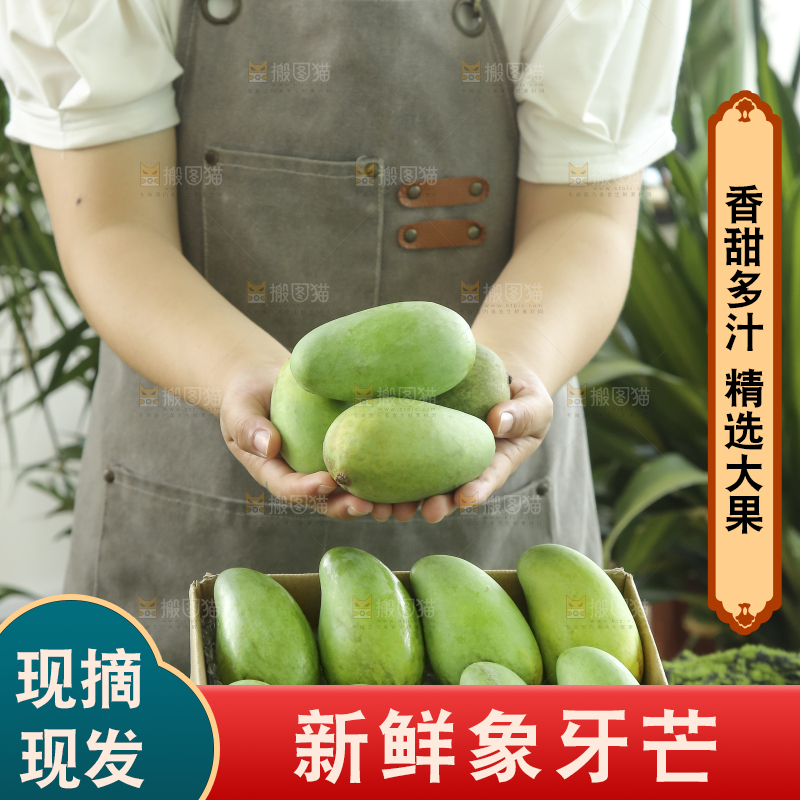 手里拿着象牙芒