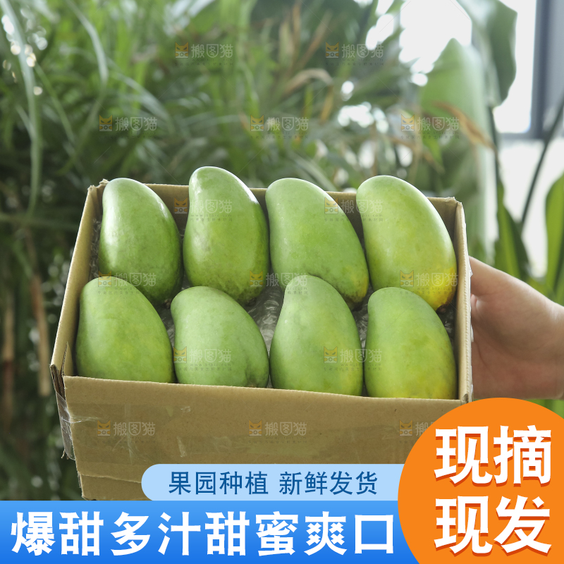 手里拿着象牙芒