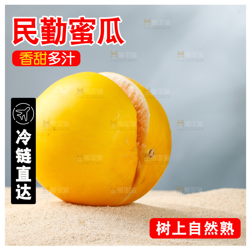 浅底上的民勤蜜瓜