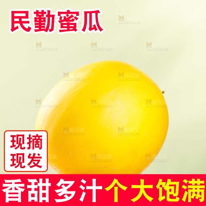 浅底上的黄河蜜瓜