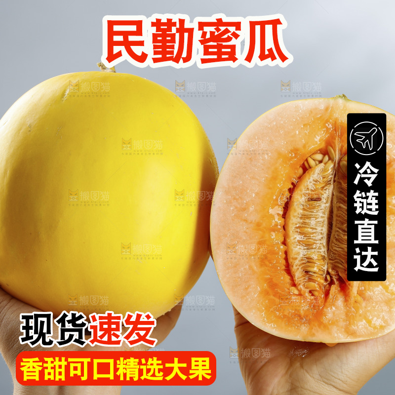 浅底上的民勤蜜瓜