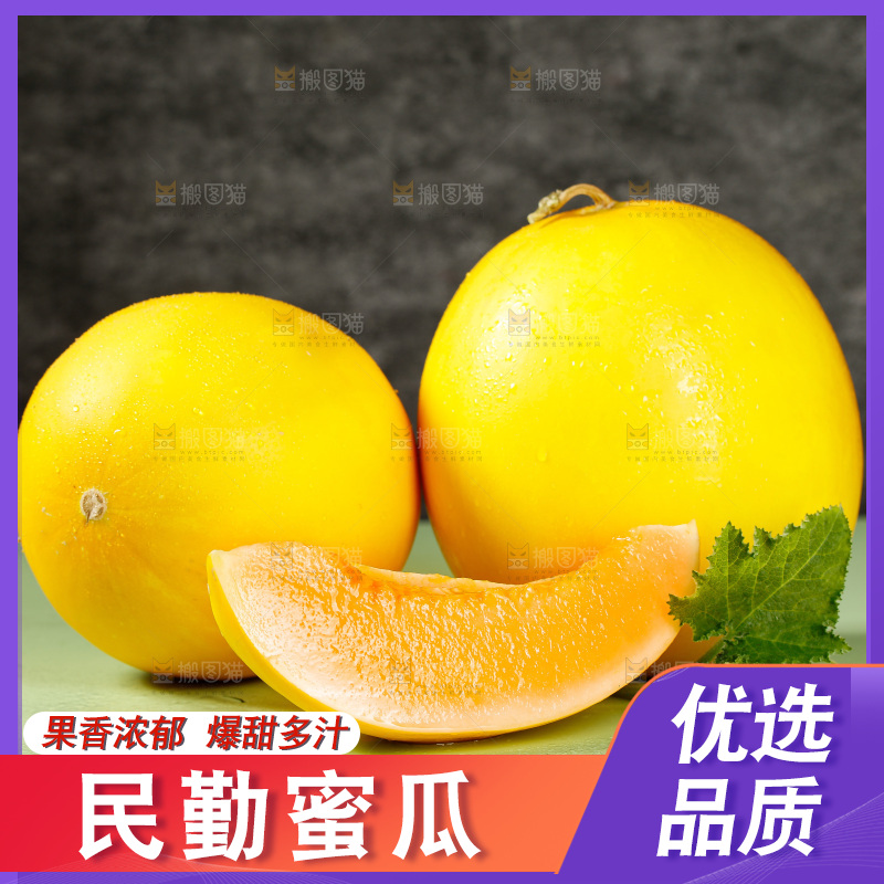 浅底上的民勤蜜瓜