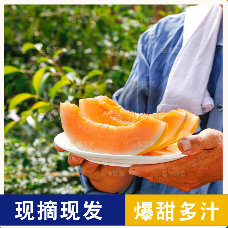 手里拿着民勤蜜瓜