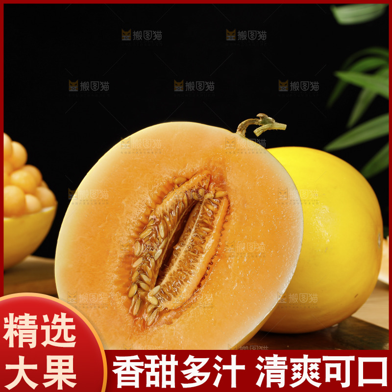 木底上的民勤蜜瓜