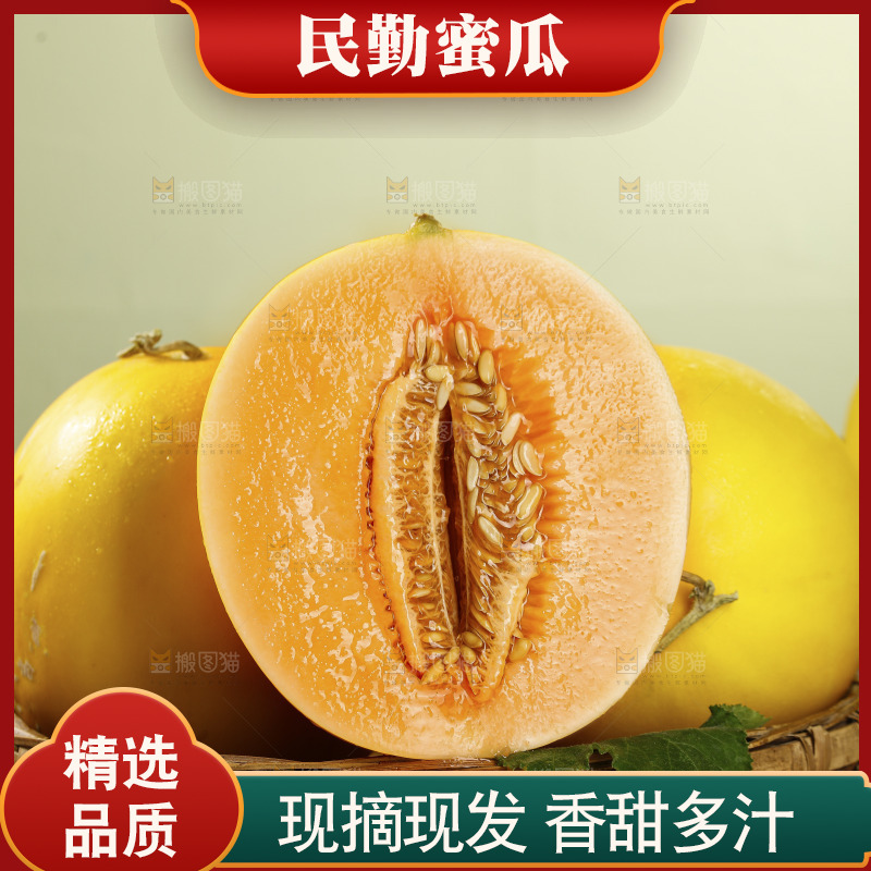 浅底上的黄河蜜瓜