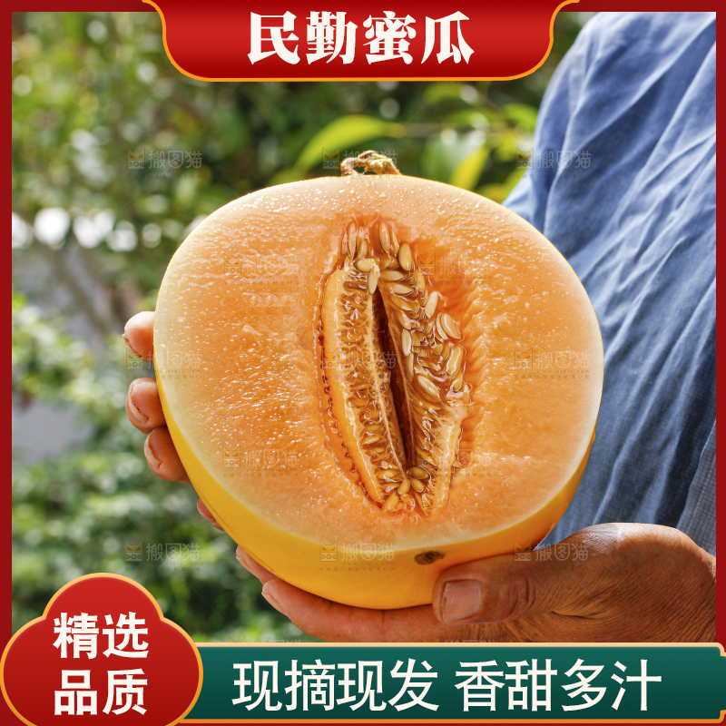手里拿着黄河蜜瓜