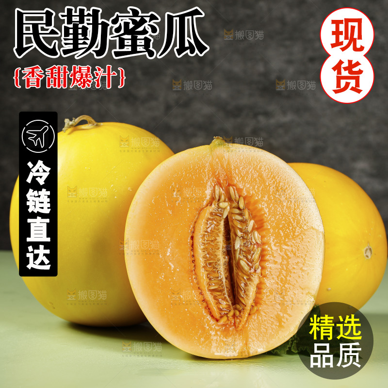 浅底上的民勤蜜瓜