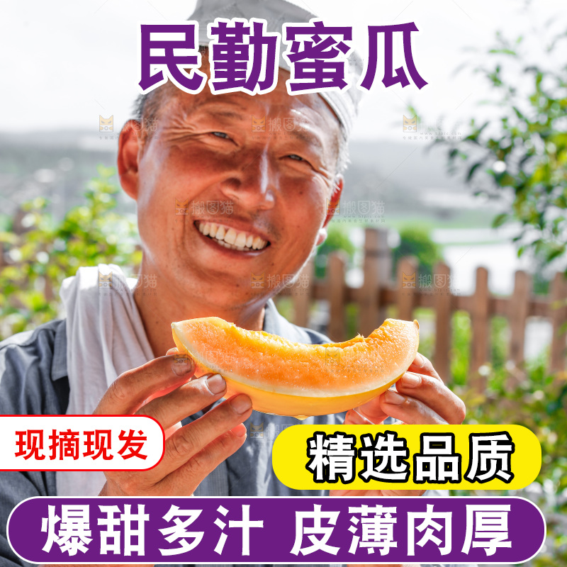 手里拿着民勤蜜瓜