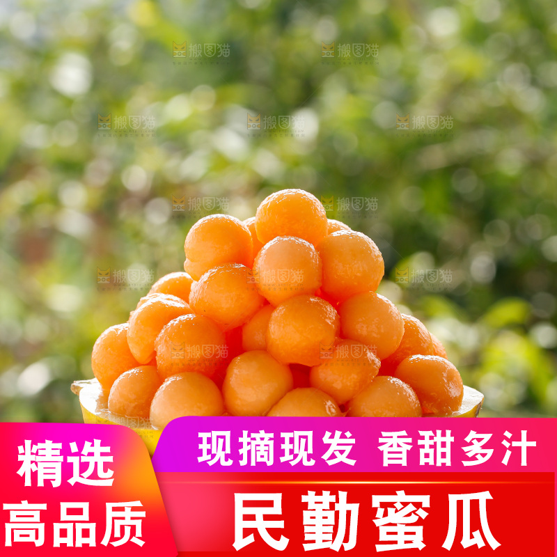 手里拿着黄河蜜瓜