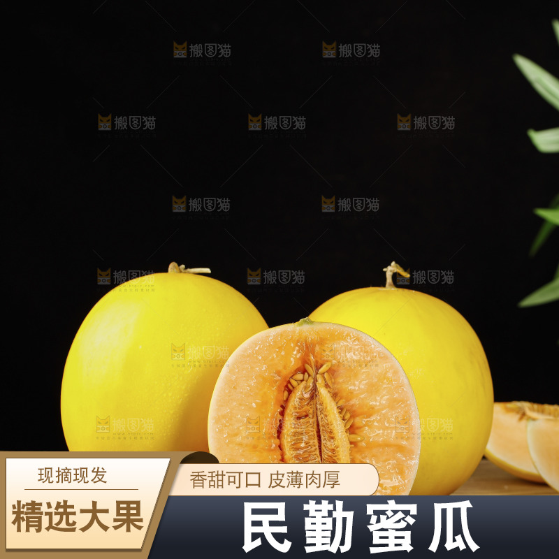 木底上的黄河蜜瓜