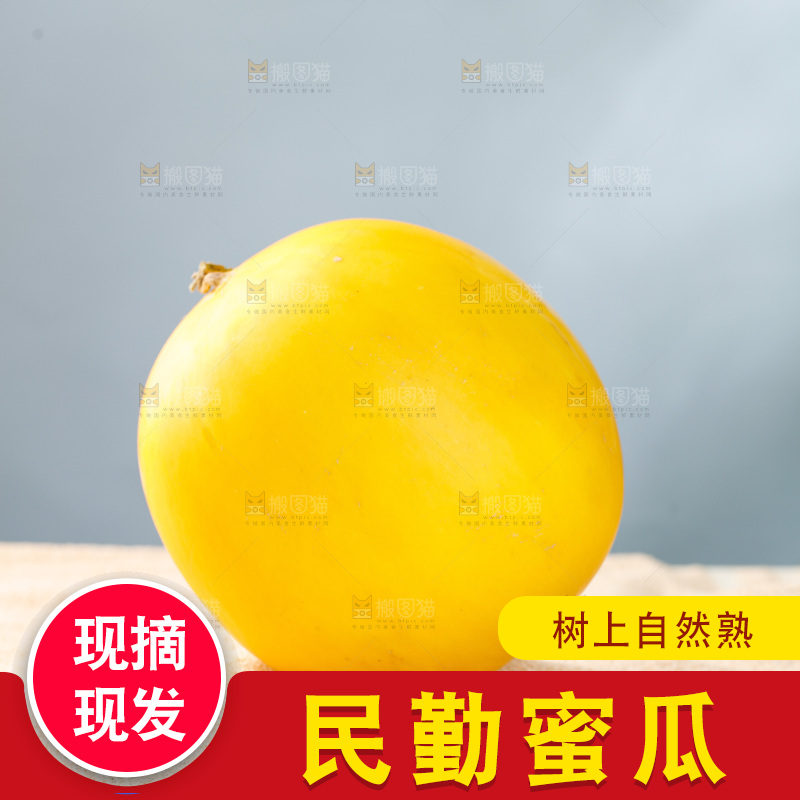 浅底上的民勤蜜瓜