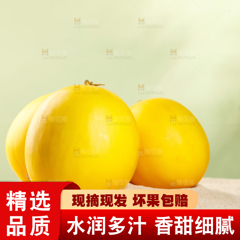 浅底上的黄河蜜瓜