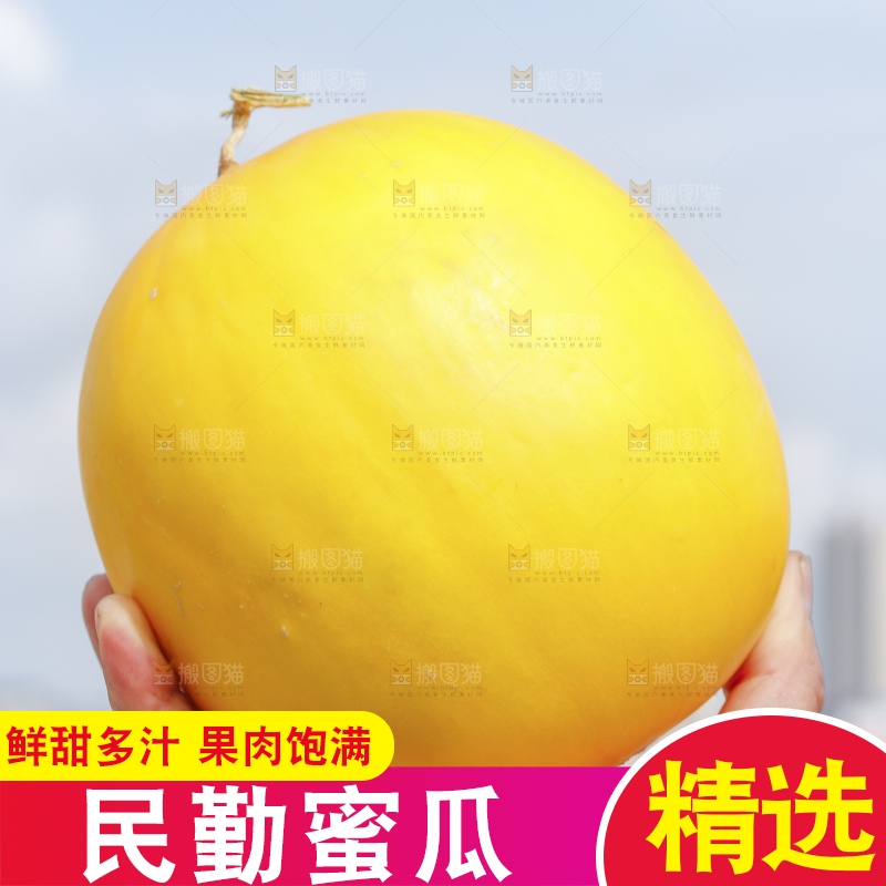 手里拿着民勤蜜瓜