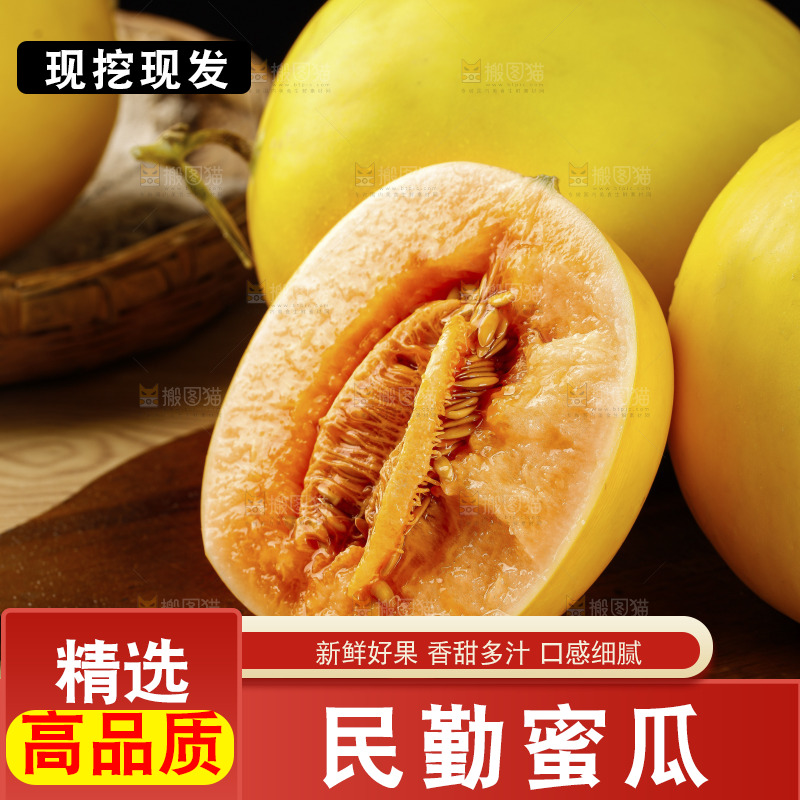 木底上的黄河蜜瓜