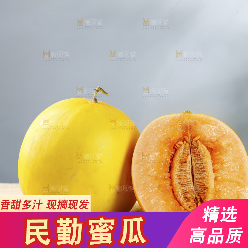 浅底上的民勤蜜瓜