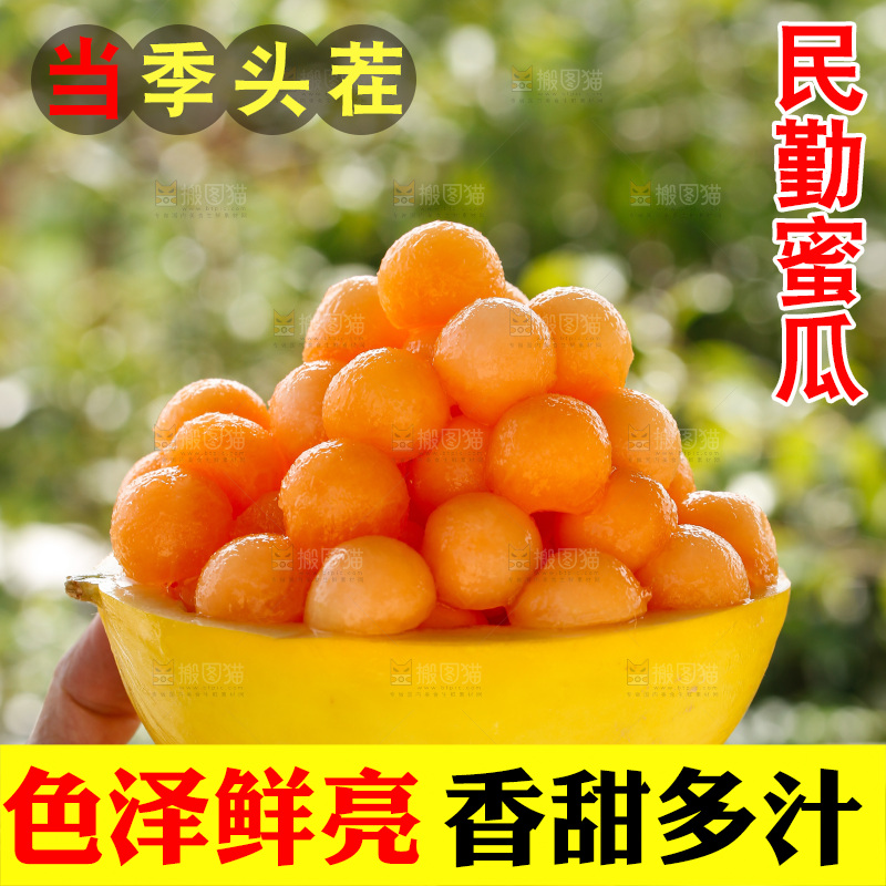 手里拿着民勤蜜瓜