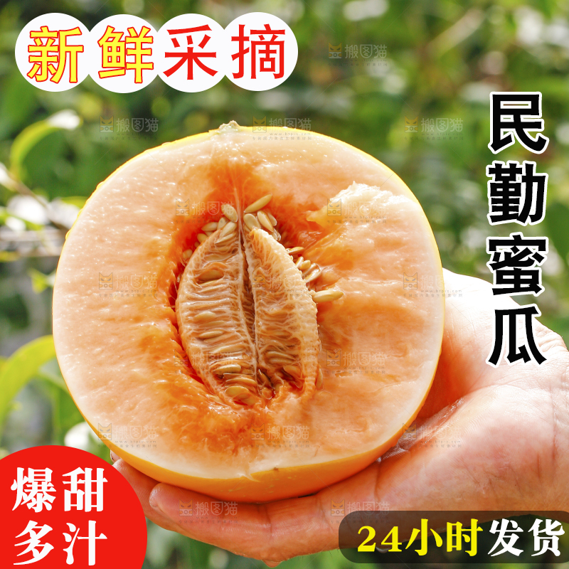 手里拿着民勤蜜瓜